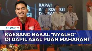 Ketum PSI Kaesang Umumkan Bakal 'Nyaleg' Di Pemilu 2029, Maju Dari Dapil Asal Puan Maharani