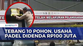 Tebang Pohon Secara Ilegal: Videotron Padel di Bandung Disegel, Pelaku Didenda Rp100 Juta