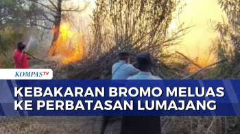 Kebakaran Hutan di Gunung Bromo Meluas ke Perbatasan Lumajang | SAPA MALAM