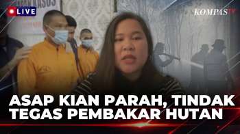 [FULL] WALHI Buka Suara soal Penanganan Kebakaran Hutan-Lahan dan Kabut Asap di Kalimantan