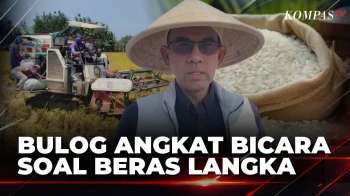 Bulog Buka Suara Soal Kosongnya Stok Beras Di Sejumlah Minimarket, Ini Penyebabnya! | KOMPAS SIANG