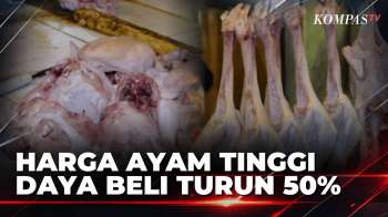 Harga Ayam Di Bandung Rp43.000 Per Kg, Pedagang Sebut Daya Beli Turun 50% | KOMPAS SIANG