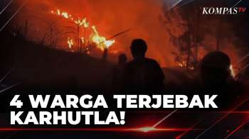 Karhutla Dekati Sekolah! 4 Warga Terjebak Dan Dievakuasi Di Sulawesi Barat| SAPA PAGI
