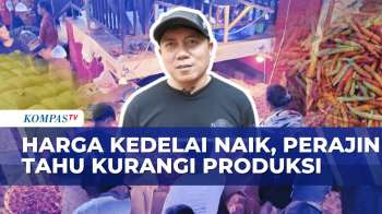 Harga Kedelai Impor Naik, Perajin Tahu di Bandung Kurangi Produksi | SAPA SIANG